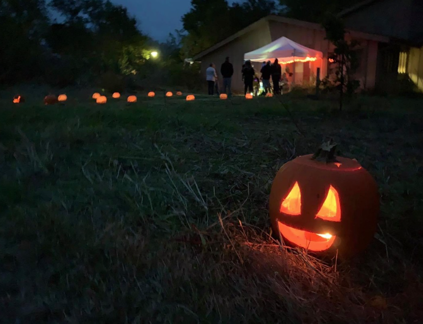 pumpkins at night in a dark forest